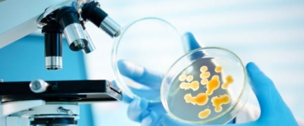 Séries à la sauce CSI : des enquêtes qui profitent à tous! Séries à la sauce CSI : des enquêtes qui profitent à tous!