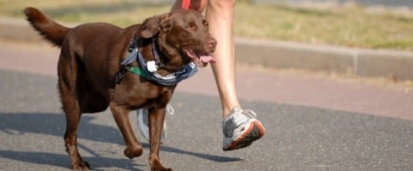 Changez le paysage et les cerveaux grossissent