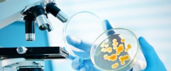 Parler de science autrement