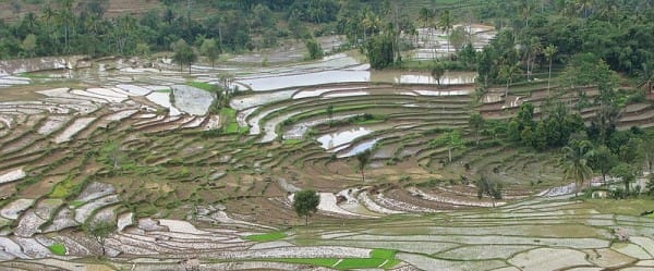 Grandes chaleurs à la ferme