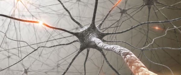 Un labyrinthe de 100 milliards Un labyrinthe de 100 milliards