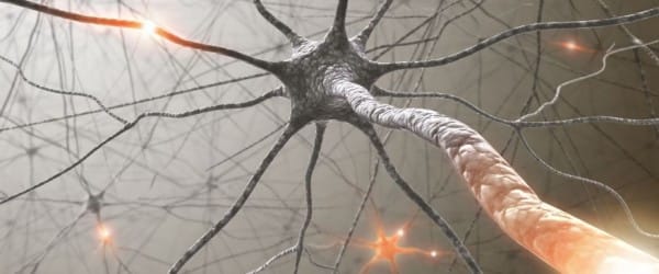 L'étau se resserre sur l'Alzheimer