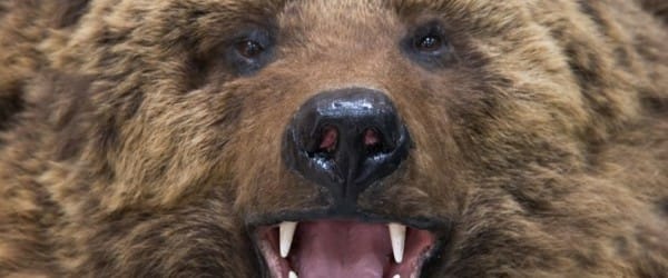 Il n'y a pas de sots outils