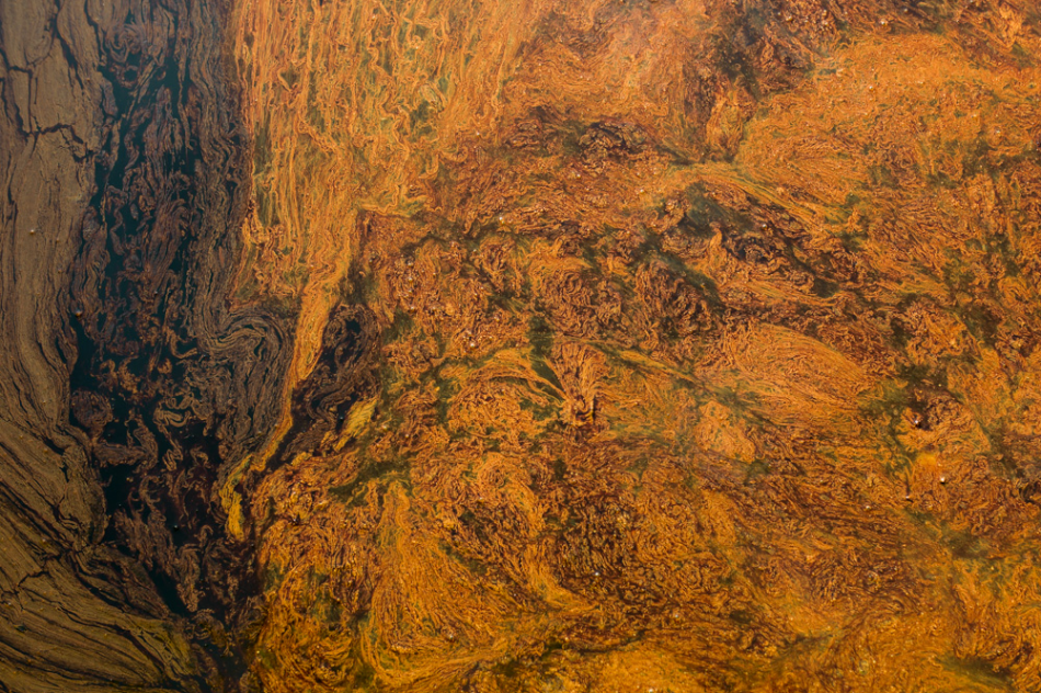 Impacts en photos du déversement de pétrole à Lac-Mégantic Impacts en photos du déversement de pétrole à Lac-Mégantic