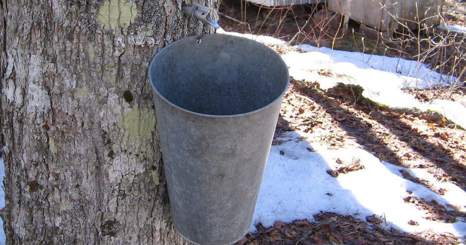 L'heure des migrations climatiques L'heure des migrations climatiques