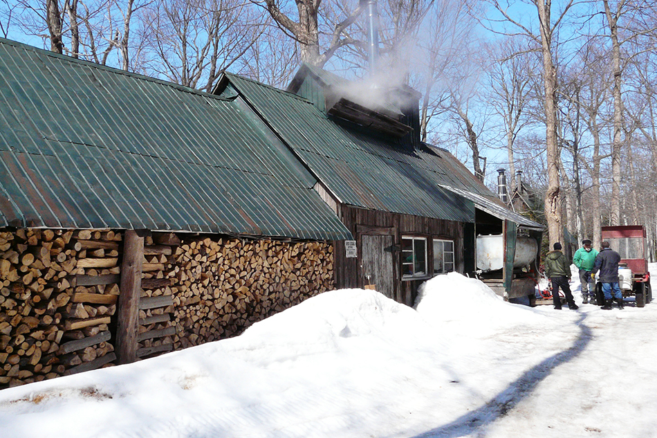 Une journée à la cabane à sucre