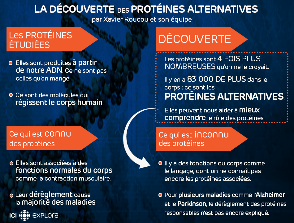La découverte de l'année 2013
