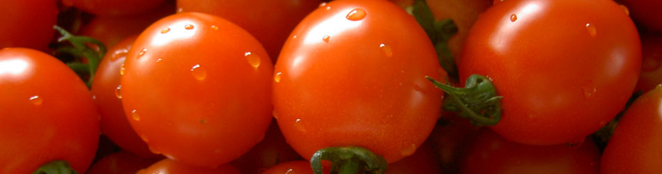 Le pesticide de la tomate