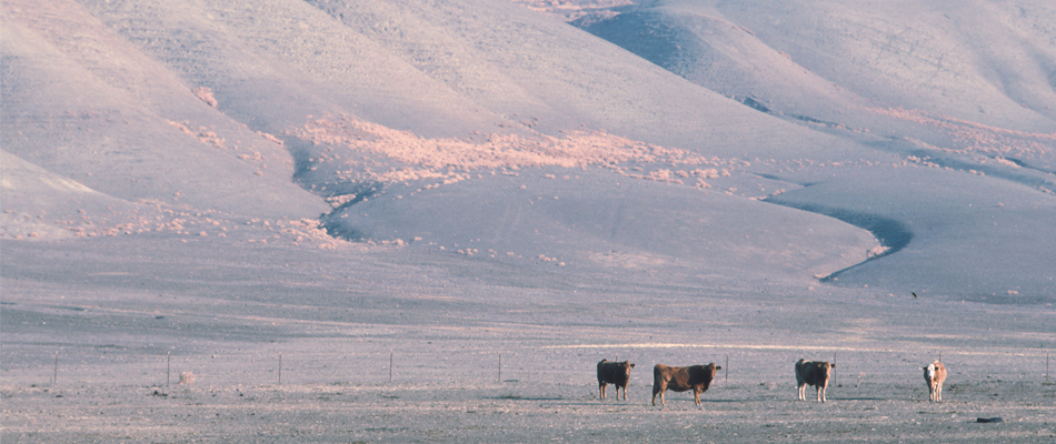 La Californie est à sec