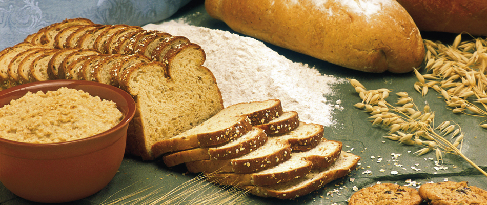 Les mystères du gluten Les mystères du gluten
