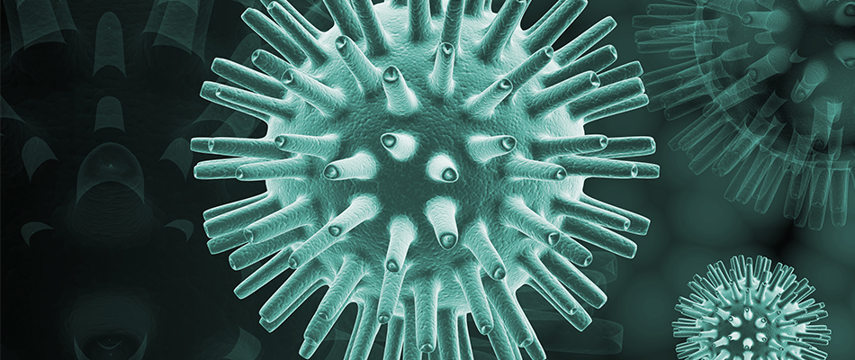 Les origines de l'herpès Les origines de l'herpès