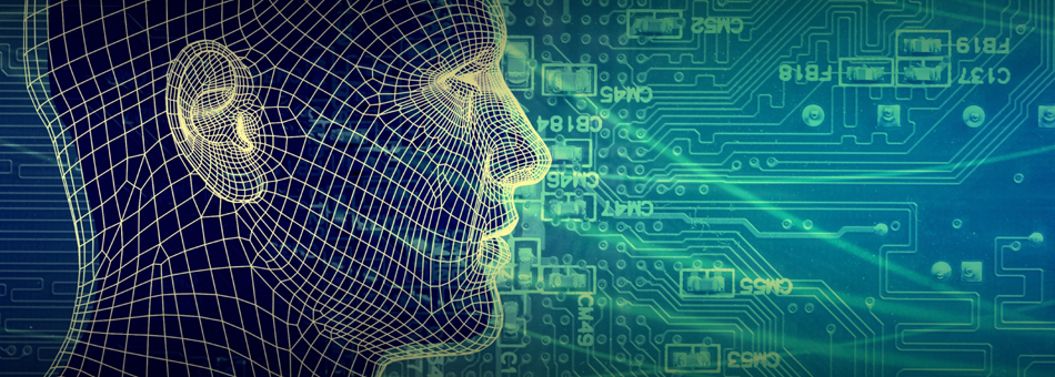 Fronde autour du cerveau