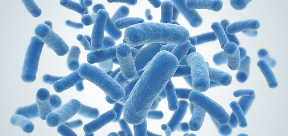 Doit-on craindre les superbactéries?