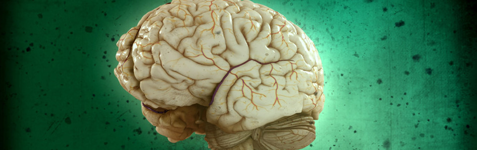 Psychiatrie : au plus proche du réel Psychiatrie : au plus proche du réel