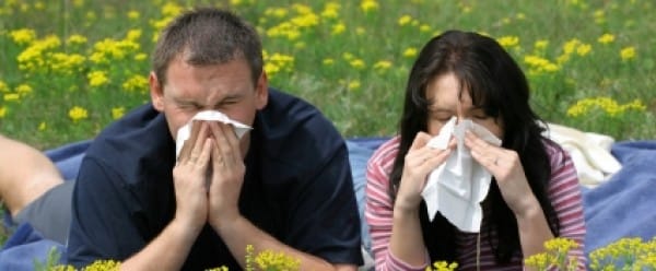 Un timbre contre le rhume des foins 