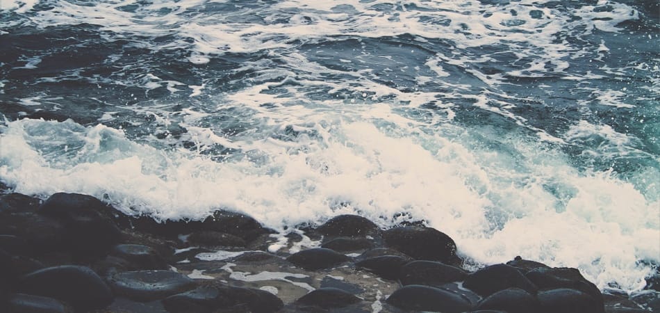 La mer s'en sort mieux que la terre