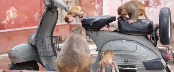 Ne ratez plus jamais votre émission préférée