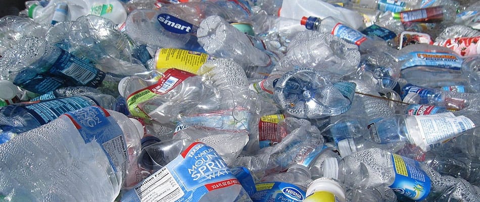 Un écosystème de plastique? 