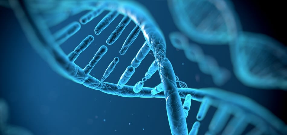 Moratoire sur les manipulations du génome humain : trop tard?