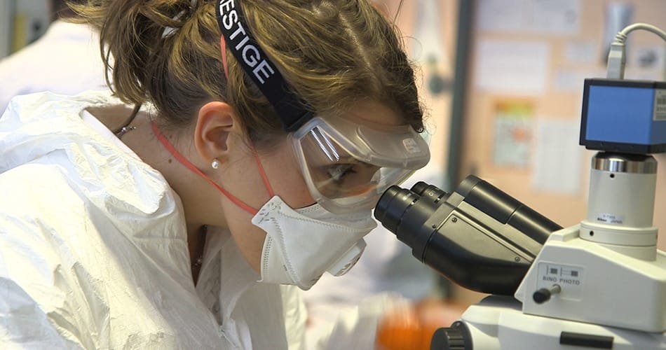 Études médicales : attention à la recherche unique