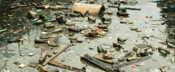 Les habitants de l'île de plastique