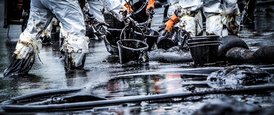 Pétrole et dauphins morts Pétrole et dauphins morts