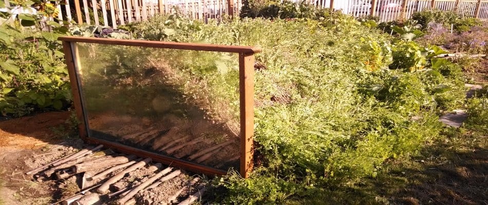 Hugelkultur: découvrez cette épatante butte de culture autofertile Hugelkultur: découvrez cette épatante butte de culture autofertile