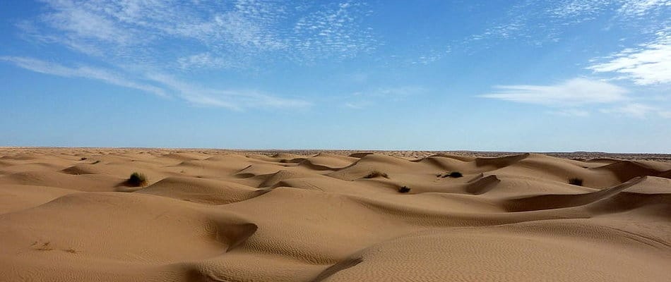 Humains hors d'Afrique : où était la sortie ?