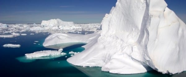 Invasions d'algues sous la glace