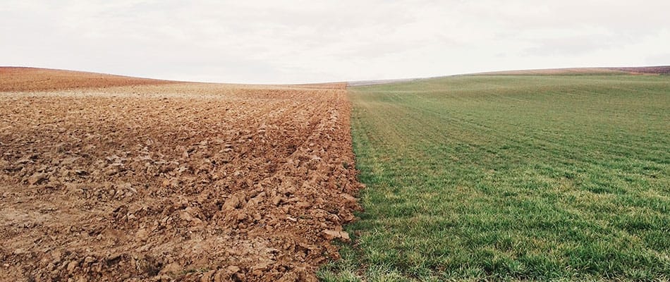 Efforts insuffisants pour la 21e conférence sur le climat?