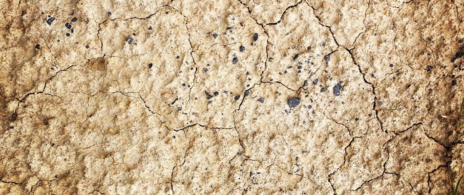 Les réfugiés climatiques d'Amérique?