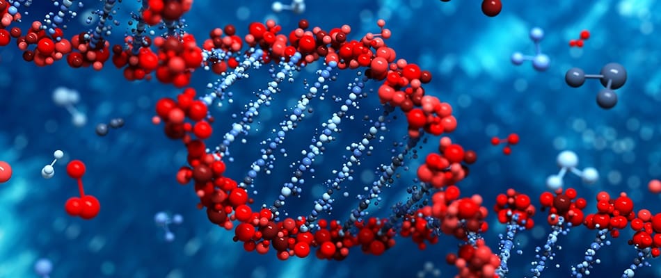 Où naîtra le premier bébé génétiquement modifié? Où naîtra le premier bébé génétiquement modifié?