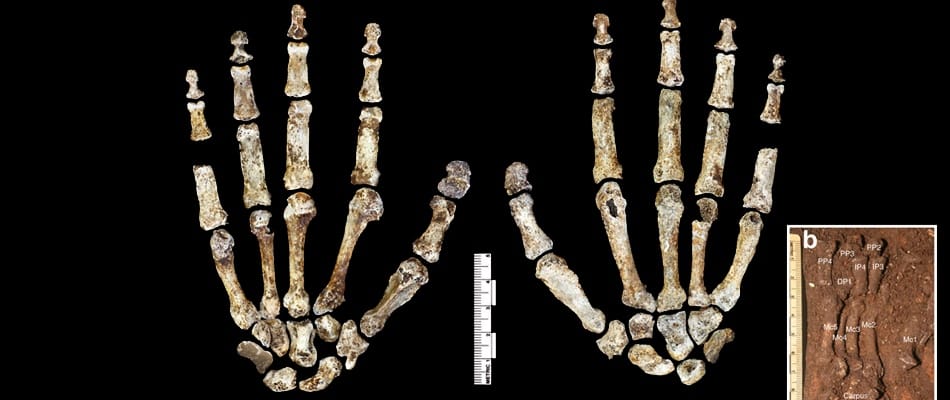 Ces fossiles humains qui ne sont pas là où ils devraient être