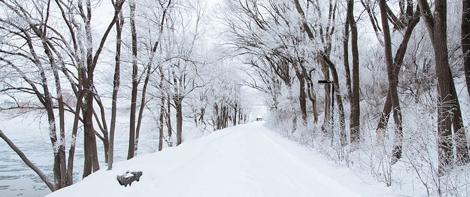 Trois semaines d'hiver en moins