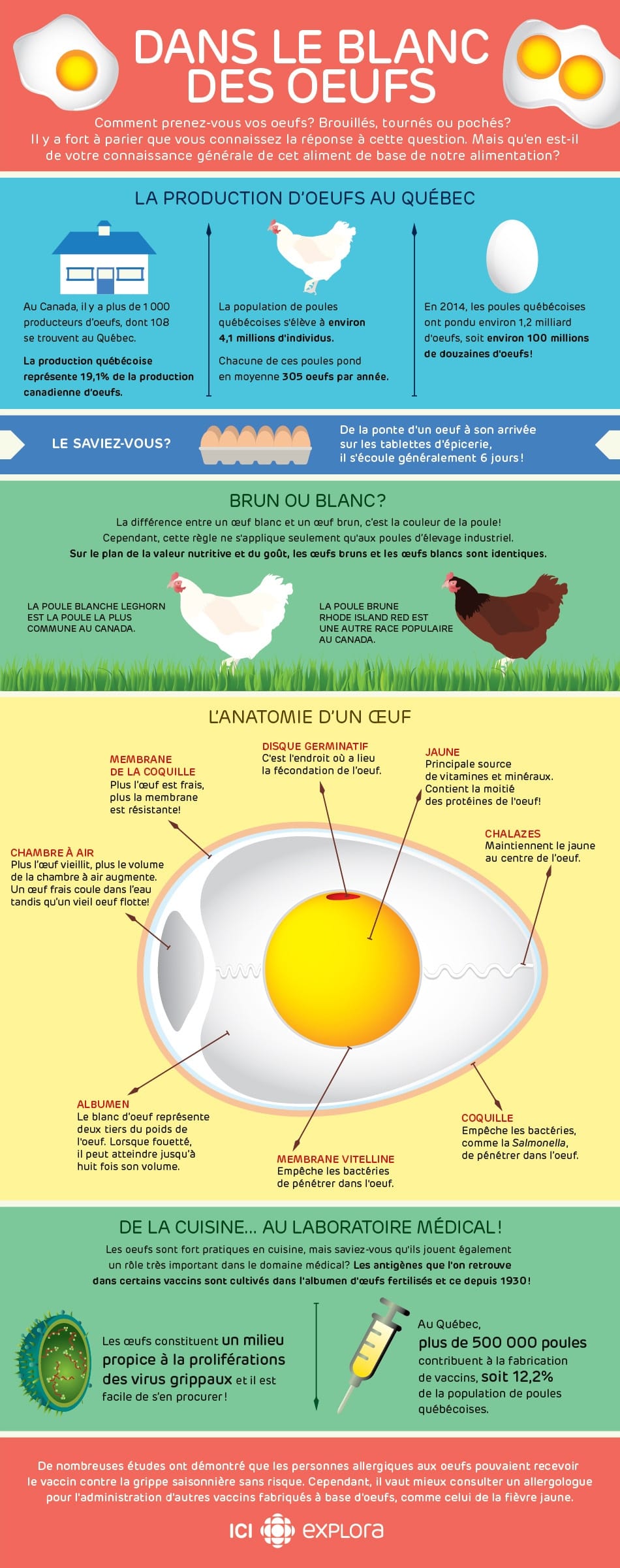 Oeufs pochés de base - Fédération des producteurs d'œufs du Québec