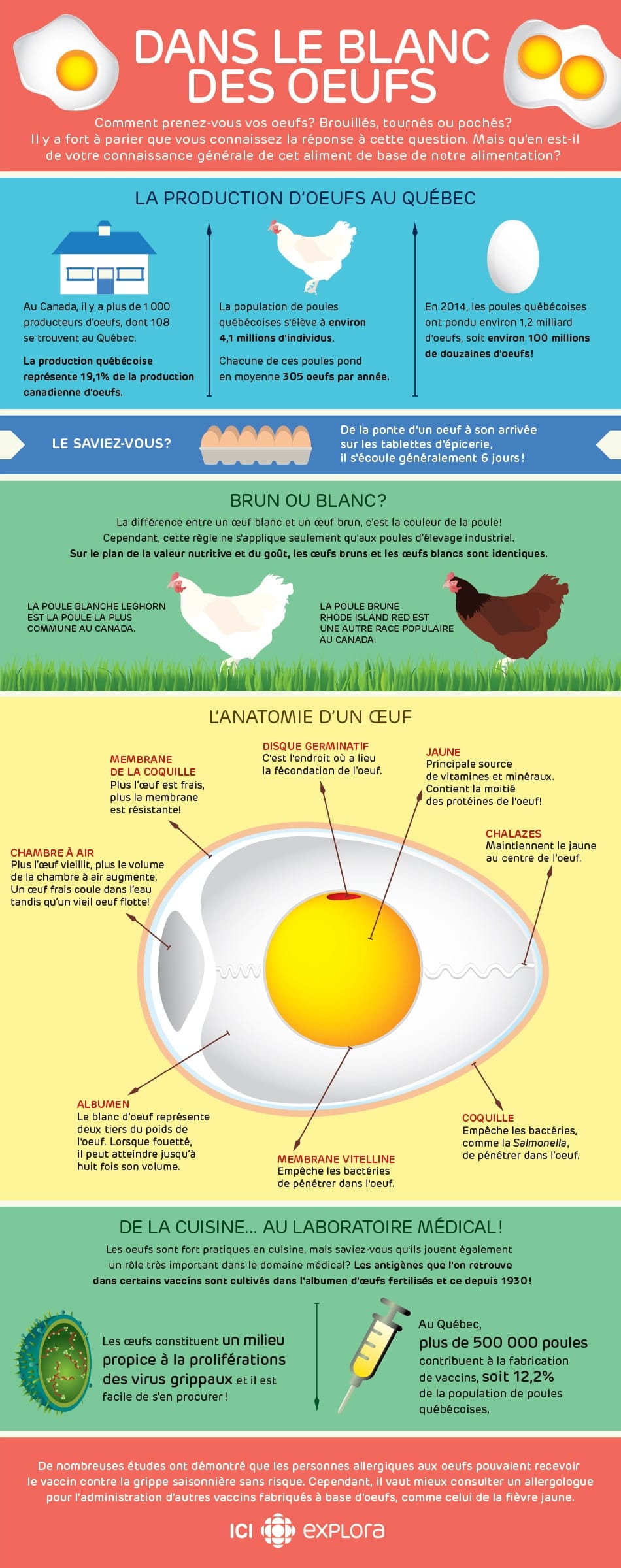 Dans le blanc des oeufs