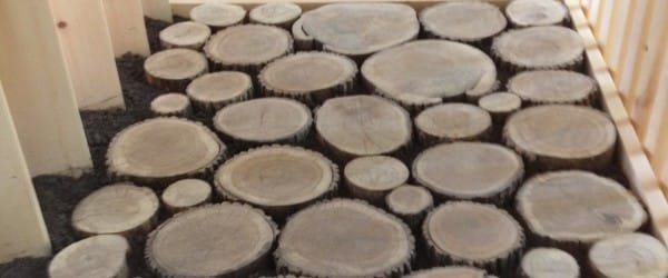 Tirage : billets pour le Camp de base de 1000 jours pour la planète Tirage : billets pour le Camp de base de 1000 jours pour la planète