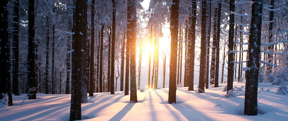 Prévision météo : un hiver El Niño