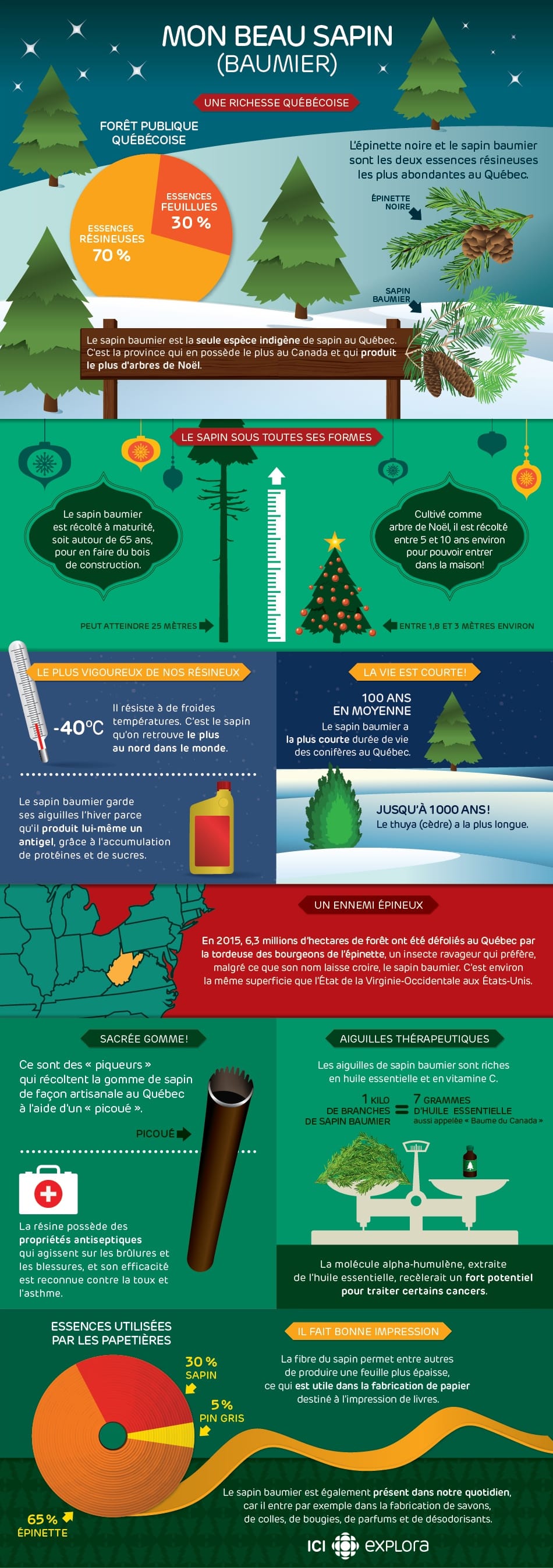 Mon beau sapin (baumier)