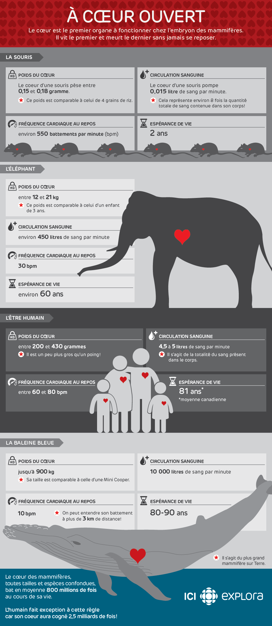 À coeur ouvert À coeur ouvert