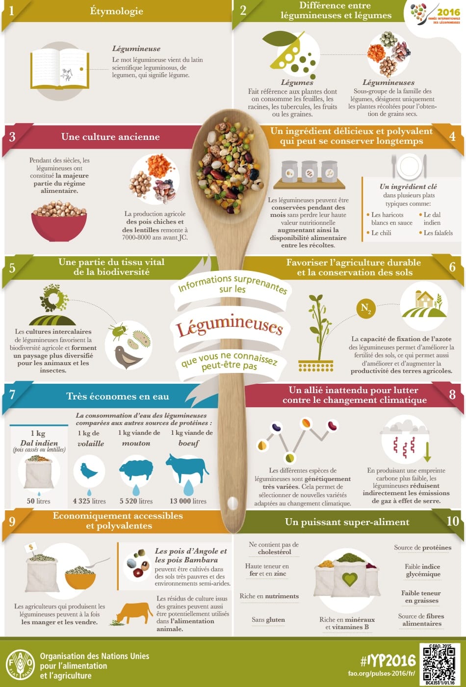 L'ABC des légumineuses L'ABC des légumineuses