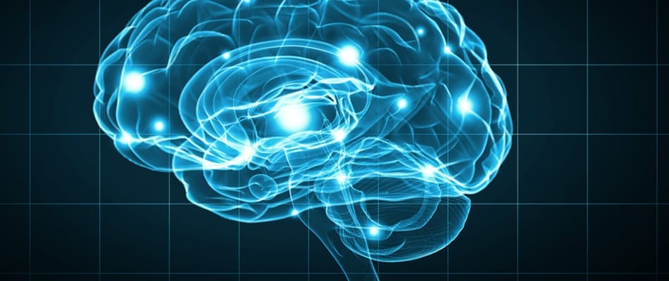 La mémoire du Web est dans votre cerveau