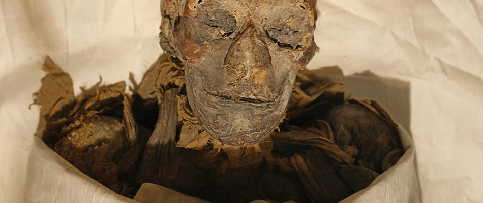 Des momies pour étudier le cancer Des momies pour étudier le cancer