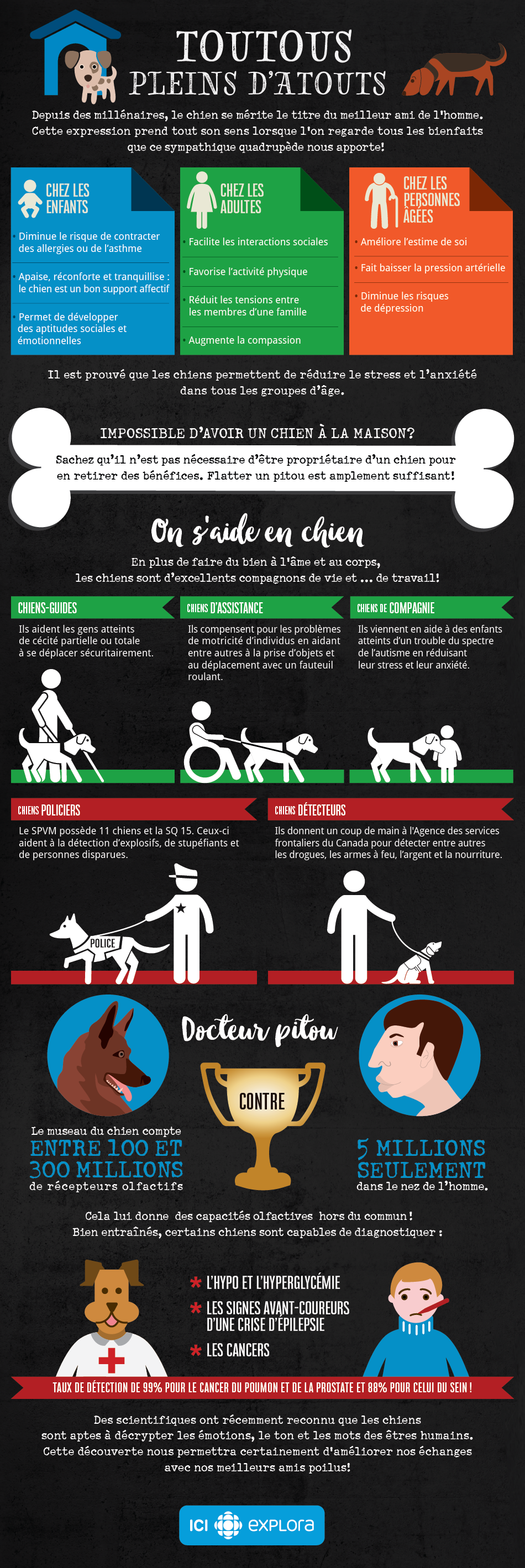 Toutous pleins d'atouts Toutous pleins d'atouts