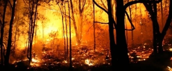 Les feux du réchauffement