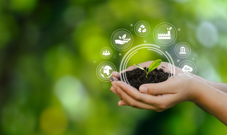Quiz | L’environnement en 10 questions
