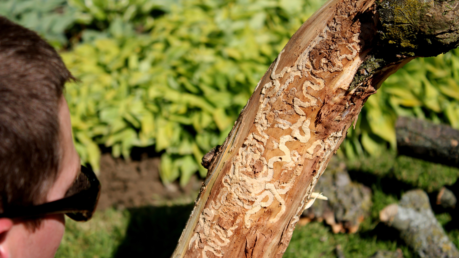 infestation playstation