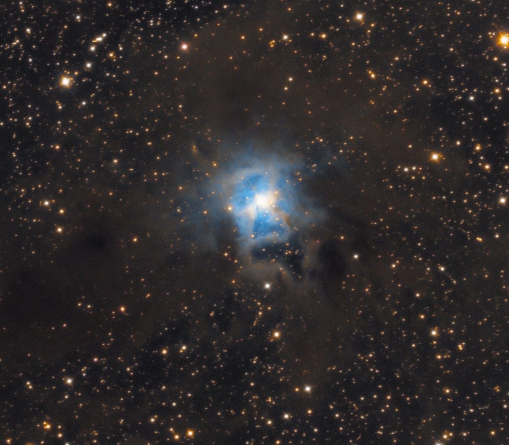 La nébuleuse de l'Iris (NGC 7023), située dans la constellation de Céphée à une distance d'environ 1400 années-lumière de la Terre (photo : Stéphane Simard)