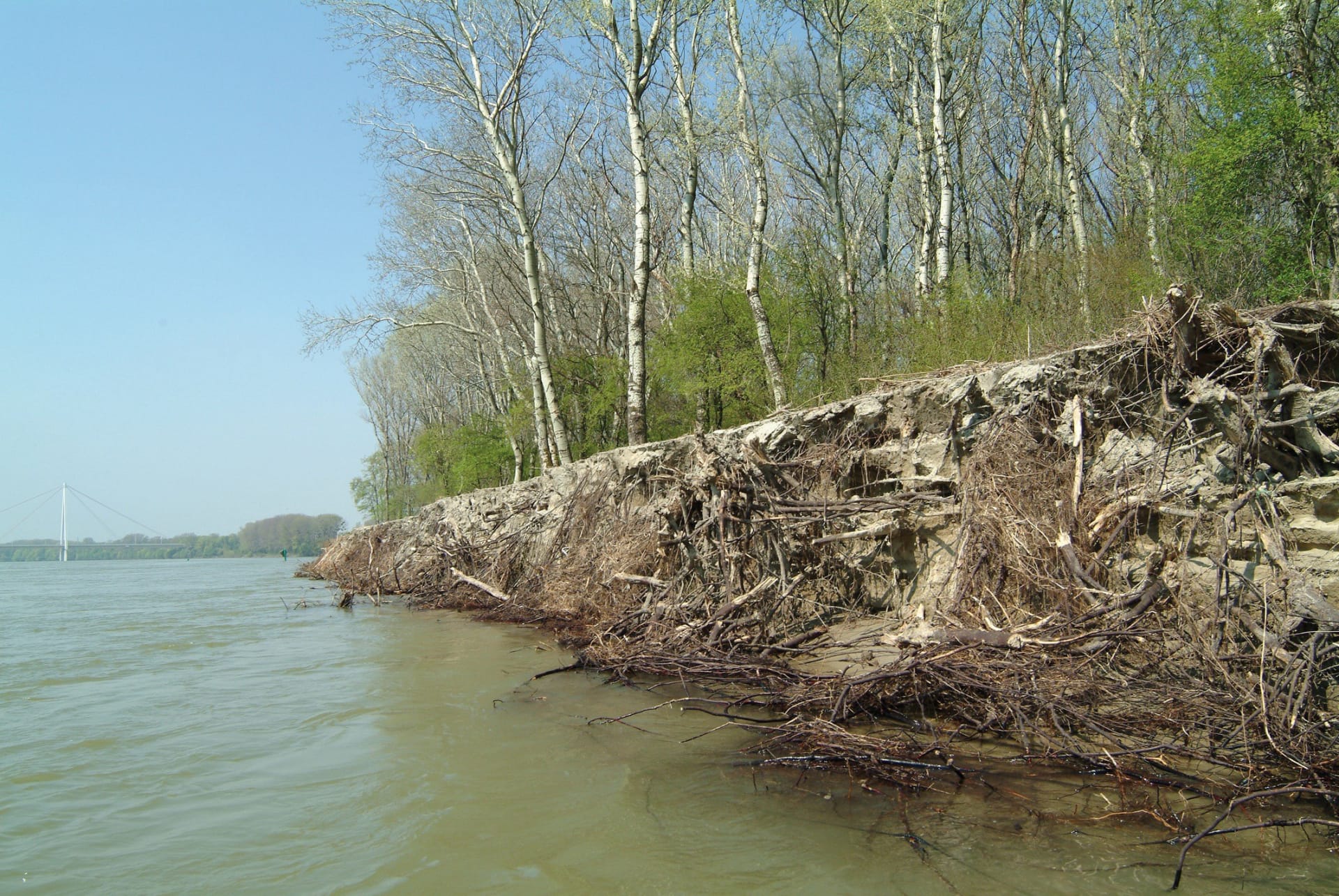 rive danube rive danube
