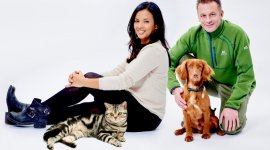 Chien ou chat ? Le grand duel